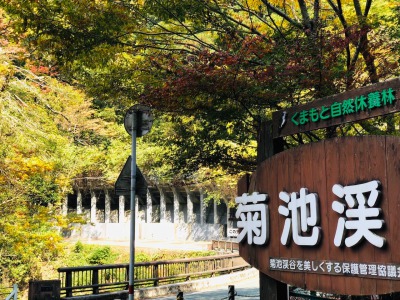 菊池渓谷